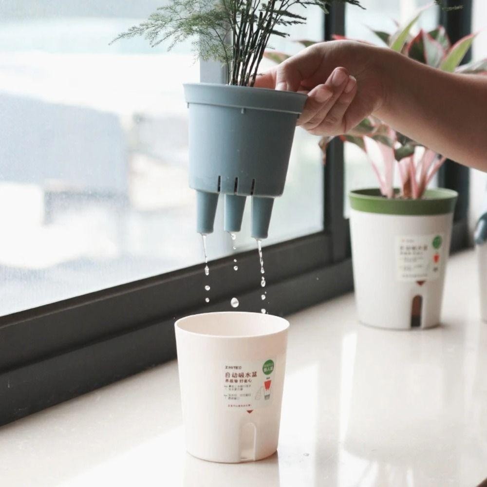 Chậu thủy canh tự tưới, chậu cây trang trí để bàn, thấm nước cho phòng khách