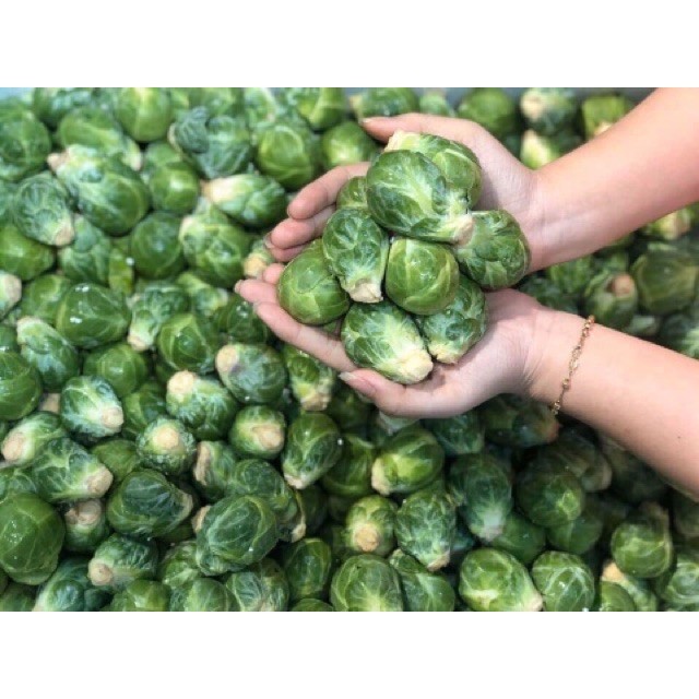 Hạt Giống Bắp Cải Tí Hon,bắp cải mini Giòn Ngọt, Lạ Mắt, Năng Suất Cao