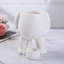 PWSSEND Bình hoa ngộ nghĩnh, Chậu hoa sáng tạo bằng nhựa, Retro có lỗ thoát nước Piss Hình chậu Bình hoa cho hoa mọng nước