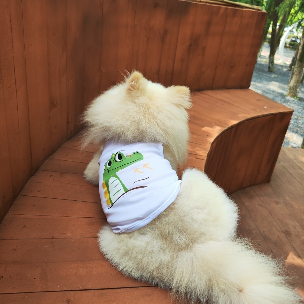 Áo vest in hình mèo / chó cưng dễ thương quần áo thoải mái và thoáng khí cho mùa xuân hè
