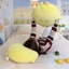 50cm💕 Gấu Bông Hình Quả Chanh Gấu Bông Cute Teddy Gấu Búp bê Gối Nhồi Bông Hình Quả Chanh Hoạt Hình Đáng Yêu Anh có ngày hôm nay