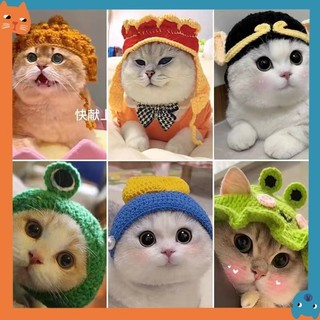 Thú Cưng Handmade Dệt Mũ Mèo Chó Dệt Nón Cospaly Đạo Cụ Mũ Đội Đầu Thú Cưng Vui Biến Đổi Phụ Kiện