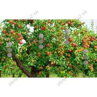 24 Cái / bộ Đĩa đuổi chim Thiết bị treo phản quang để giữ chim đi như chim gõ kiến cho chim bồ câu Chim gõ kiến
