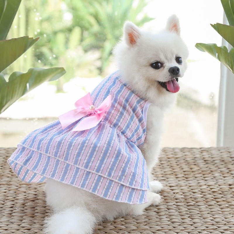 Thú cưng chó mùa xuân váy mùa hè nơ kiểm tra váy chó mèo dễ thương