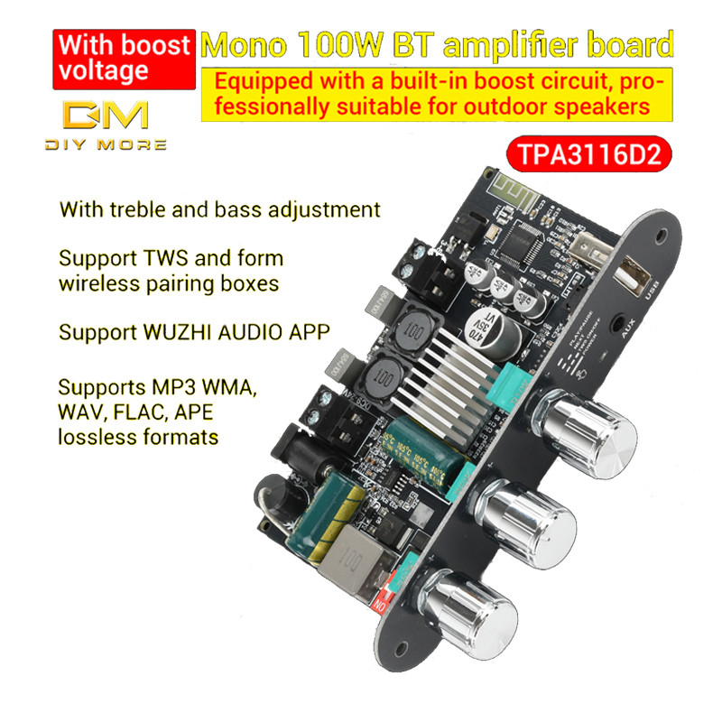 SCHEDA AMPLIFICATORE AUDIO Bluetooth Mono da 100 W con Funzione TWS Box