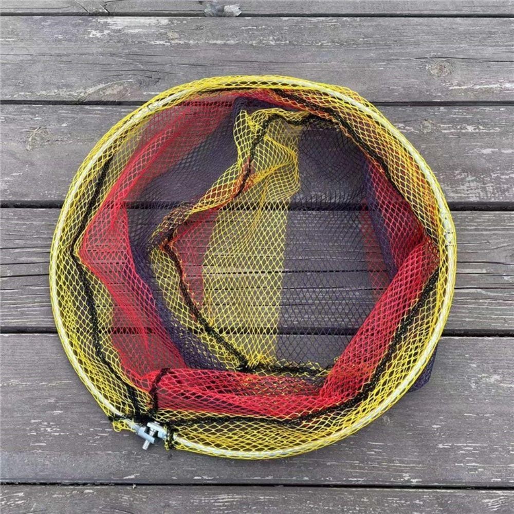 Đầu lưới hạ cánh gấp DELMER, Đầu lưới câu cá bằng thép không gỉ nylon bằng thép không gỉ, Lưới hạ cánh câu cá bền gấp màu sắc Chroma Lưới câu cá nylon hạ cánh câu cá