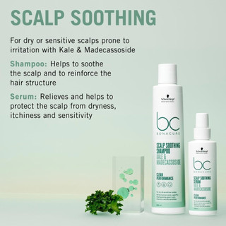 [ TN ] Dầu gội dành cho tóc và da đầu dầu BC Bonacure Scalp Genesis Purifying Shampoo Schwarzkopf 250ml
