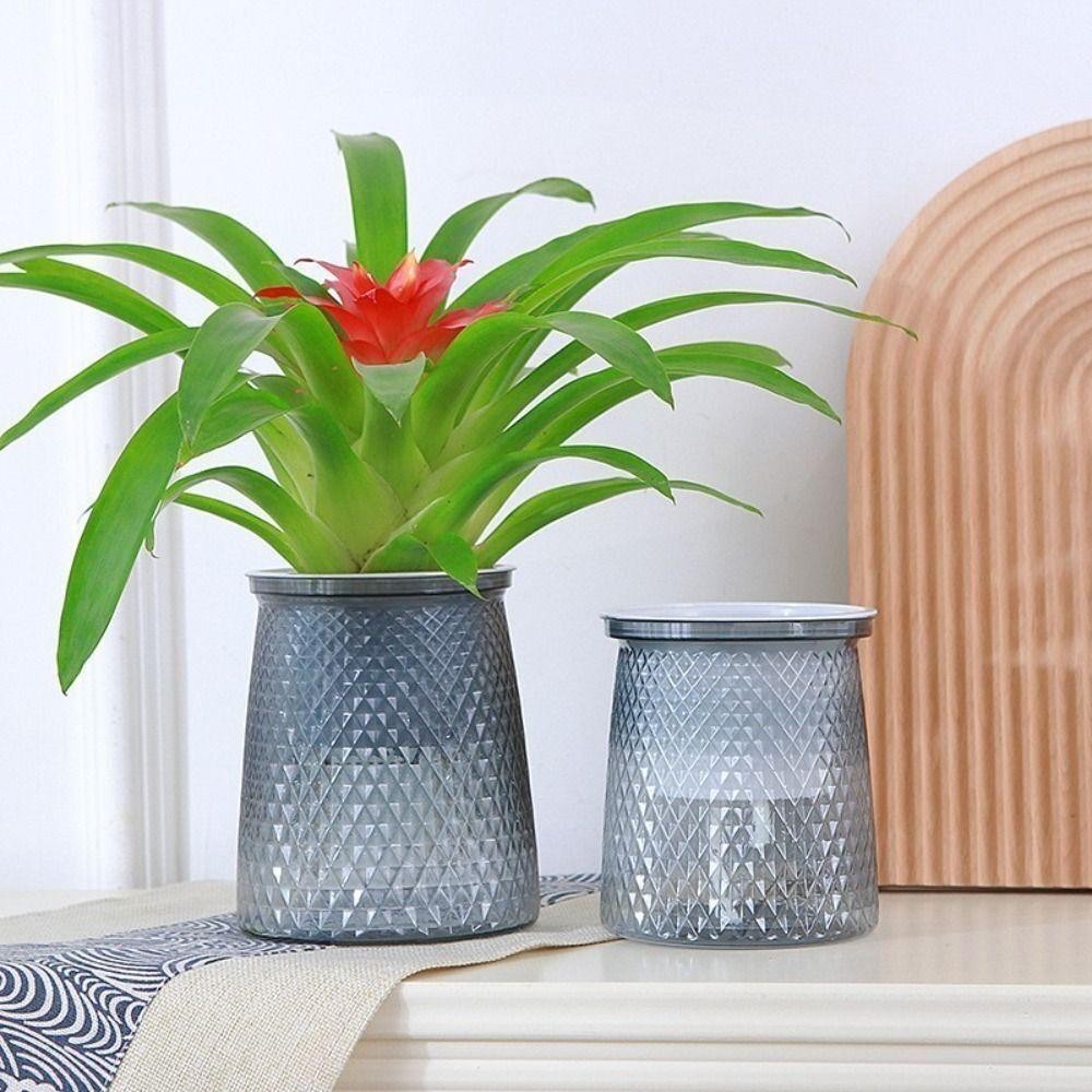 Chậu cây MONOSTYLE, Chậu hoa tự tưới nước bằng nhựa, Nước có thể nhìn thấy Đồ dùng làm vườn Chậu trồng nước