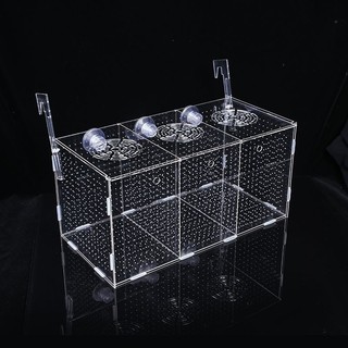 Hộp cách ly bể cá Hộp ấp trứng Acrylic trong suốt Hộp nhân giống Guppy Vẹt Mini Hộp giống chiên nhỏ cxbszxycw.my2 / 17