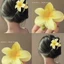 Kẹp tóc Plumeria đơn giản - Phụ kiện tóc Dress Up - Kẹp tóc nữ ngọt ngào - Vuốt tóc hoa Gradient - Mũ nón cho bé gái - Kẹp tóc cá mập thời trang
