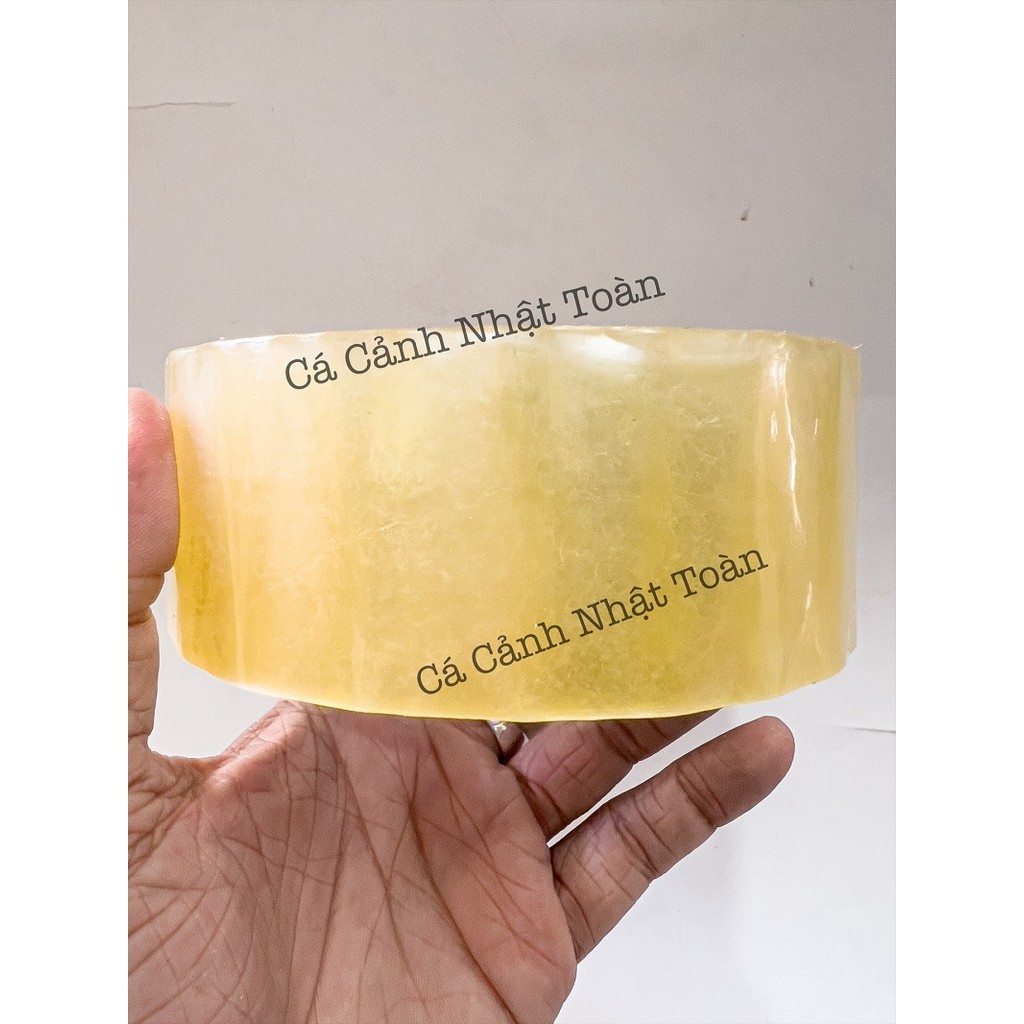 Băng Keo Trong Đóng Gói Hàng Hóa (200 vòng) (1 Cuộn 290 gram)