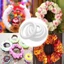 YUJINI 1 Vòng hoa thủ công DIY, Vòng xốp trắng tròn, Polystyrene bền cho đồ thủ công Giáng sinh 5 / 7 / 8 / 10 / 12 / 15 / 17 / 20cm Trang trí tiệc cưới