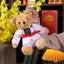 Bct [Còn hàng] Búp bê đồ chơi sang trọng hình động vật Kawaii dễ thương Taekwondo Gấu mềm mại Trang trí nhà cửa Búp bê trẻ em Quà tặng sinh nhật vui nhộn Quà tặng tốt nghiệp