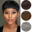 DELMER Pixie Cut Tóc Giả, Chịu Nhiệt, Ngắn Thẳng, Vô Hình Lớp, Tóc Giả Tổng Hợp Lông Tơ Châu Phi Kèm Mái, Dùng Hàng Ngày