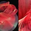 BORAGETE Xếp Ly Organza Vải, Handmade Cầu Vồng Nàng Tiên Cá Vải, Sáng Tạo Sáng Bóng 100 * 150cm DIY Chất Liệu Quần Áo Tiếp Liệu