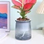 Chậu trồng cây tự tưới nước ZENZON, Bình hoa nhựa hai lớp, Trang trí cây cảnh gia đình Mini tự động tròn Lười Chậu hoa trong chậu trong nhà