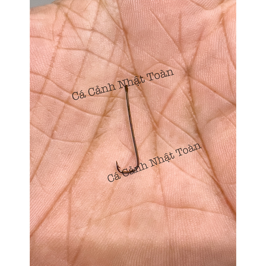 Lưỡi Câu Tôm Loại Rẻ Tự Làm (Size 2cm)