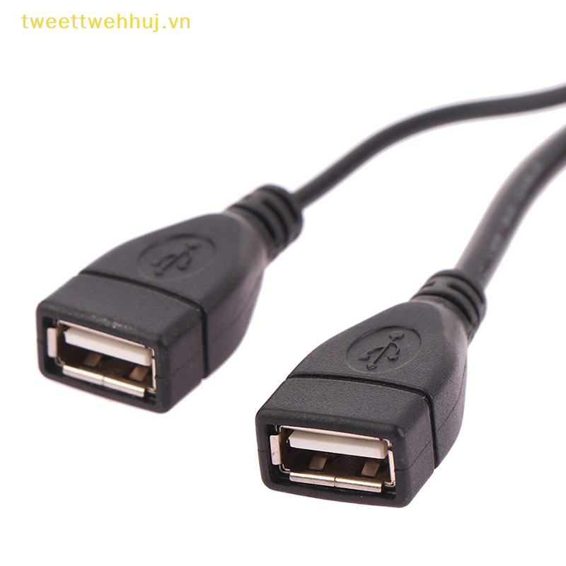 Nhíp 1 15 / 30cm Nam Cắm Vào 2 Nữ Ổ Cắm USB 2.0 Dây Nối Dài Bộ Chuyển Đổi Nguồn VN