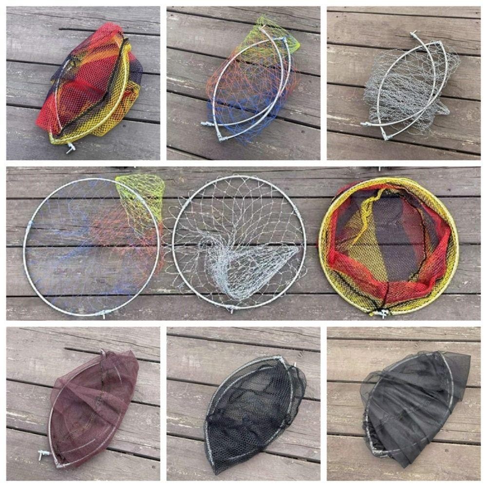 Đầu lưới hạ cánh gấp DELMER, Đầu lưới câu cá bằng thép không gỉ nylon bằng thép không gỉ, Lưới hạ cánh câu cá bền gấp màu sắc Chroma Lưới câu cá nylon hạ cánh câu cá