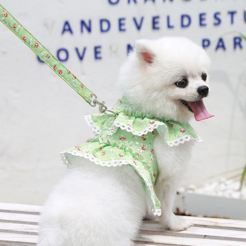 Chó cưng Dây xích ren hoa dễ thương Dây xích chó Dây xích chó