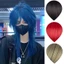 DELMER Tóc Giả Cosplay Dài, Tóc Giả Đầu Mullet Tổng Hợp Chịu Nhiệt Có Nổ, Halloween Thẳng Lớp Lông Tơ Anime Nam Tóc Giả Hàng Ngày