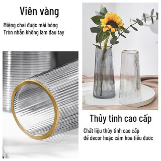 Bình hoa lọ hoa Thủy Tinh cổ Viền  Vàng Bunnies Trang Trí Phòng Khách Cắm hoa Tươi sang trọng đơn giản