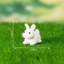 Sáng Tạo Và Dễ Thương Động Vật Nhỏ Ếch Vịt Vàng Đồ Trang Trí Búp Bê Rêu Micro Phong Cảnh Làm Vườn Đồ Trang Trí Tự Làm Thu Nhỏ Orname