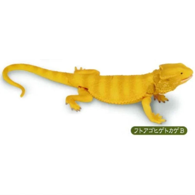 [Btf] Hàng có sẵn Nhật Bản T-ARTS Capsule Toy Series Sinh học Sách minh họa lớn Vương quốc Thằn lằn Đồ trang trí sống động FXUJ