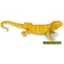 Hàng có sẵn Nhật Bản T-ARTS Capsule Toy Series Sinh học Sách minh họa lớn Vương quốc Thằn lằn Đồ trang trí sống động FXUJ