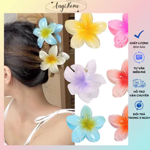 Kẹp Tóc Hình Hoa Sứ Nhiều Màu Xinh Xắn Ngọt Ngào Phong Cách Hawaii ANGIHOME