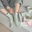 Vớ tất cổ trung màu pastel hình gấu thỏ mèo cute