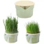 Máy trồng hộp cỏ cho mèo ZENZON, Bộ trồng cây Microgreens thiết kế phân cấp thủy canh, thúc đẩy tiêu hóa Dễ dàng phát triển Chậu trồng cỏ cho mèo có thể tháo rời Hộp trồng cây không đất trong vườn