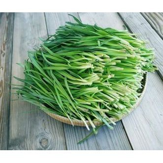 Hạt Giống Hẹ Xanh Cao Sản – Dễ Trồng, Nảy Mầm Khỏe, Thu Hoạch Liên Tục
