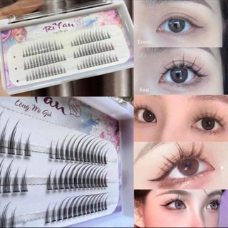 Cặp lông mi gắn mắt siêu xinh