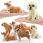 PWSEND Các bức tượng nhỏ thú cưng thực tế, giống như thật Chó bông Shiba Inu Corgi Đồ trang trí chó, Mô phỏng PVC tinh tế Trang trí máy tính để bàn cho thú cưng