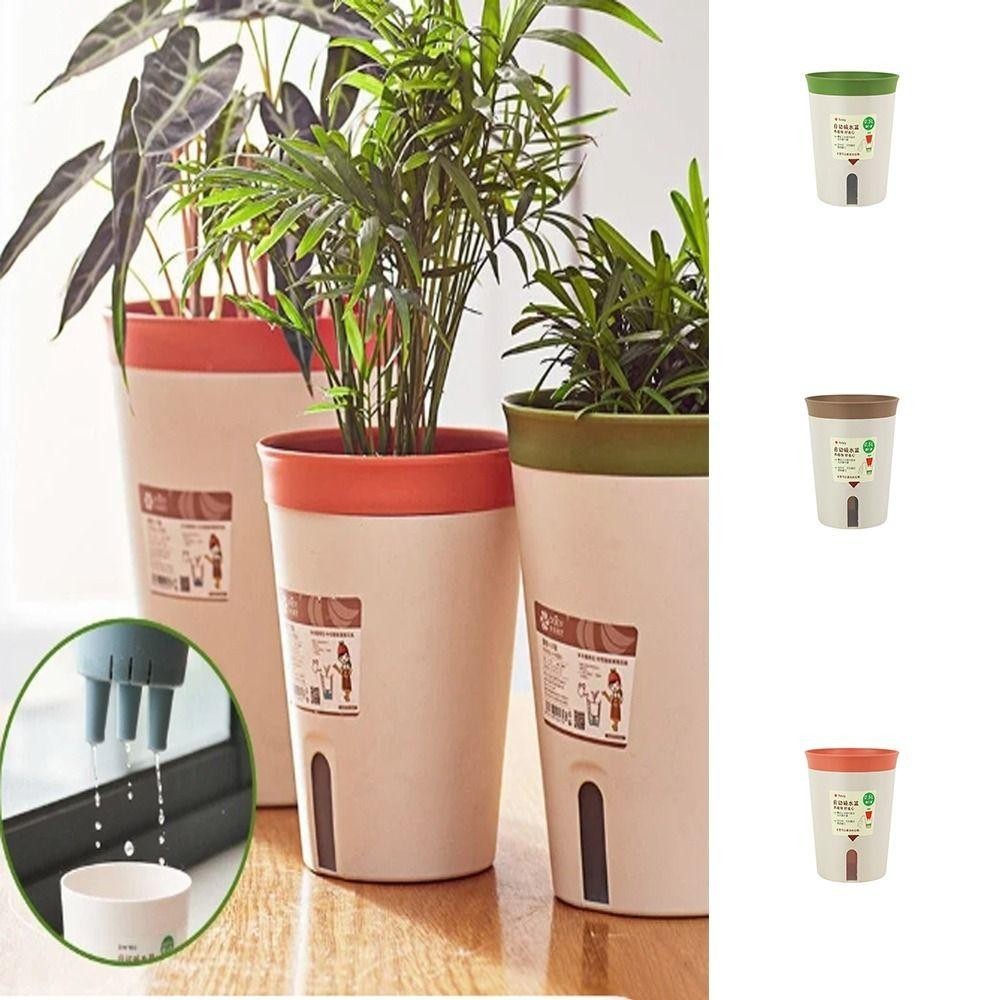 Chậu thủy canh tự tưới, chậu cây trang trí để bàn, thấm nước cho phòng khách
