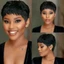 DELMER Pixie Cut Tóc Giả, Chịu Nhiệt, Ngắn Thẳng, Vô Hình Lớp, Tóc Giả Tổng Hợp Lông Tơ Châu Phi Kèm Mái, Dùng Hàng Ngày