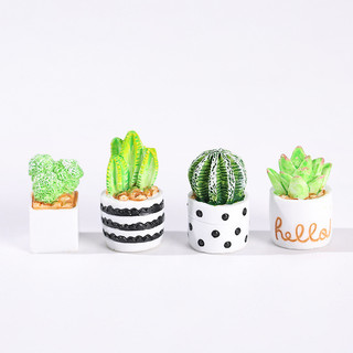 Chậu Cây Xương Rồng Mini Để Bàn Trang Trí
