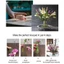 YYlingx Giá đỡ thân hoa xoắn ốc trong suốt bằng nhựa cho bình hoa, dụng cụ DIY sắp xếp hoa