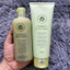 Combo gội xả chống rụng tóc và kích thích mọc tóc Hasuo 300ml/230ml [ New ]
