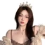 Woke Công Chúa Vương Miện Kim Cương Giả Băng Đô Cho Đám Cưới Sinh Nhật Và Cosplay