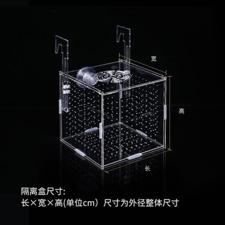 Hộp cách ly bể cá Hộp ấp trứng Acrylic trong suốt Hộp nhân giống Guppy Vẹt Mini Hộp giống chiên nhỏ cxbszxycw.my2 / 17