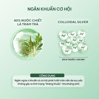 Sữa dưỡng keo bạc phục hồi, ngăn ngừa hại khuẩn cho da tổn thương, nhạy cảm 120ML SILVER DAILY CALMING MILKY ESSEN