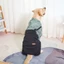 Áo Hoodie sọc cho chó cưng Áo Hoodie in hình dễ thương Chó cỡ lớn Quần áo