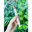 tạo khối, bắt sáng dạng thỏi 2 in1 - AHB Cosmetics
