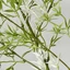 DELMER Mô Phỏng Hoa, Phong Cách Rừng Lá Cọ Cây Xanh Nhân Tạo, Đạo Cụ Chụp Ảnh Nhựa Thực Tế Handmade Cây Giả Trang Trí Tiệc Sân Vườn Nhà