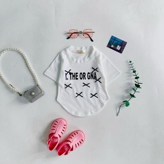 A43- Áo cộc tay đính nơ bé gái chất zip cotton cực kỳ mát cho bé gái size từ 8-35Kg