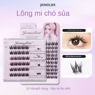 100 bộ mi giả kiểu chó không cần keo