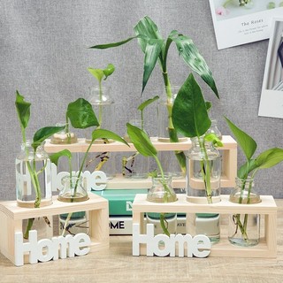 Bình Hoa Decor BUNNIES HOUSE – Thủy Tinh Kết Hợp Gỗ Sang Trọng, Trang Trí Nhà & Ban Công Đẹp Mắt