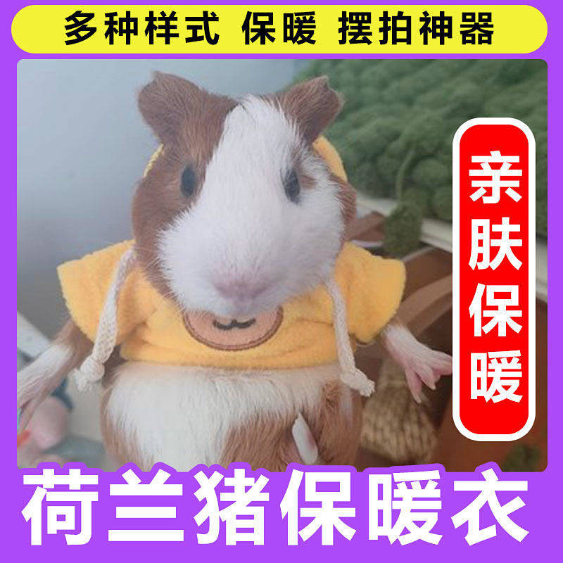 【Ready Stock】 Guinea Pig Clothes Special Minipet Autumn and Winter Thermal Clothes over Small Size Ferret Totoro Pygmy Rabbit Squirrel Hamster Vghm
